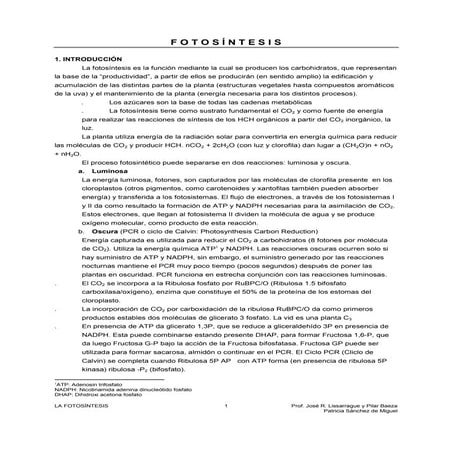 FOTOSINTESIS 7.pdf