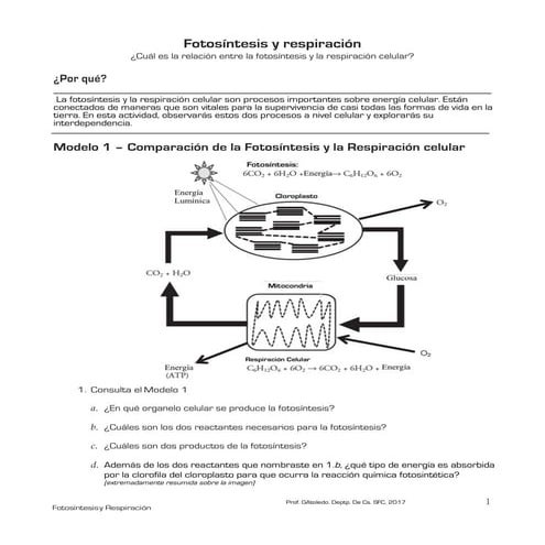 Fotosíntesis y respiración celular. guía para enseñanza media, biología.