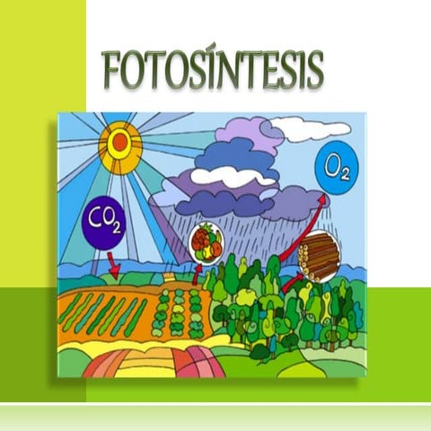 Fotosíntesis