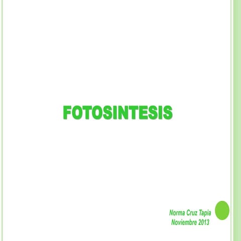 Fotosíntesis 2013