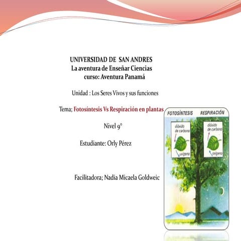 Fotosíntesis vs respiración en plantas Orly Pérez