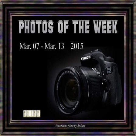 Fotos pelo mundo na semana de 07 a 13 03-15!