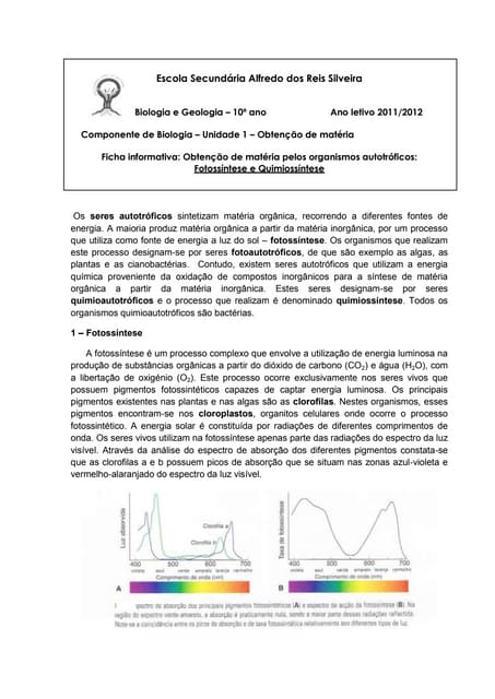 Fotossintese e quimiossintese