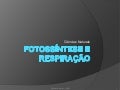 Fotossíntese e respiração prof Ivanise Meyer