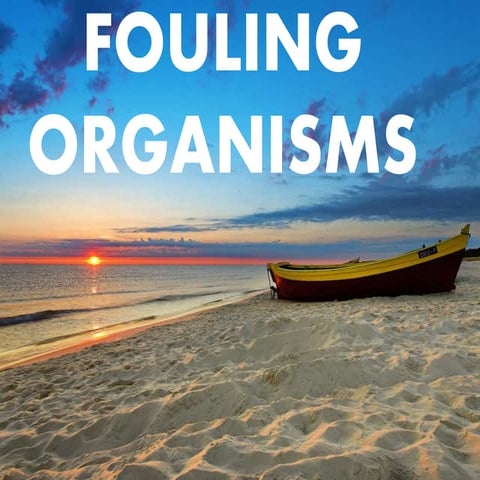 Fouling organisms