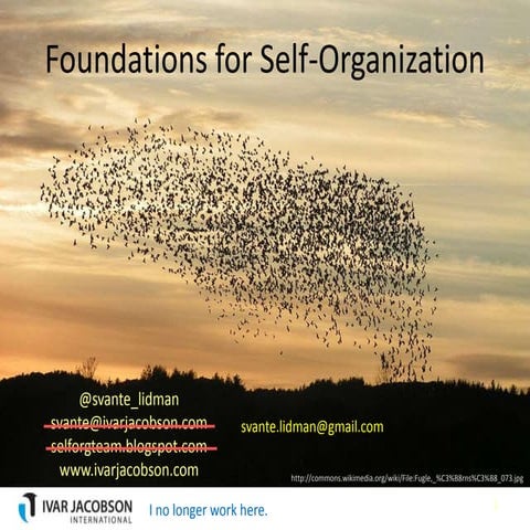 Foundations for self-organization long v5