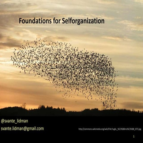 Foundations for  self organization short