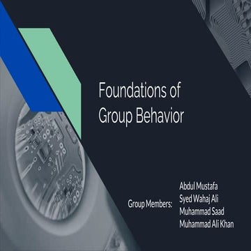 Foundations Of Group Behavior