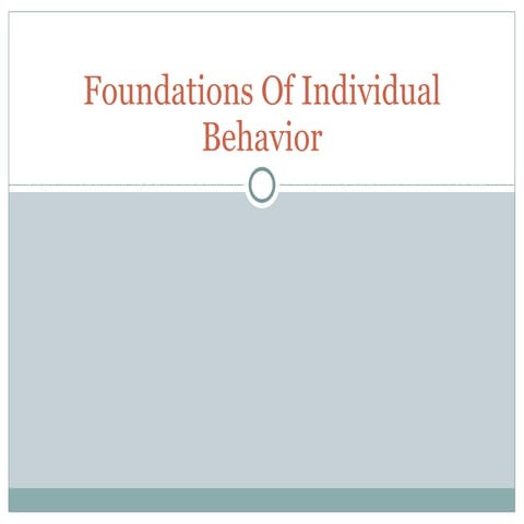 Foundations Of Individual Behavior