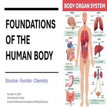 Foundations of the Human Body: Anatomy, Physiology, and Biochemistry ...