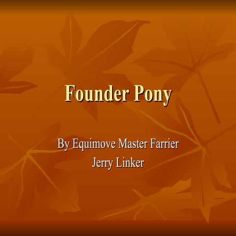 Founder  Pony