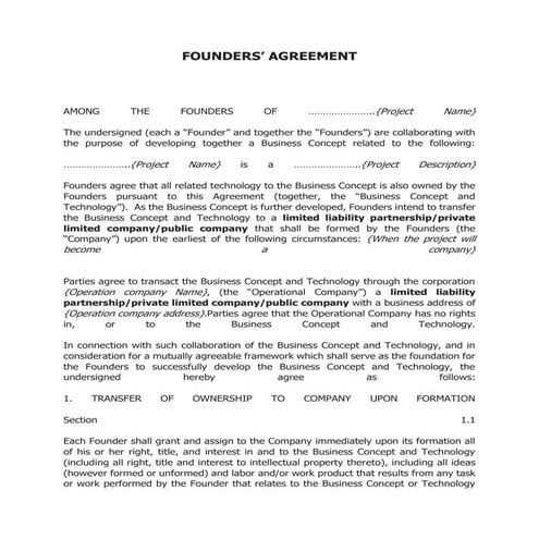 FOUNDER AGREEMENT | PDF
