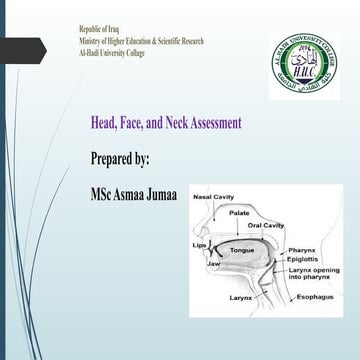 Health assessment Head .face .neck assessment