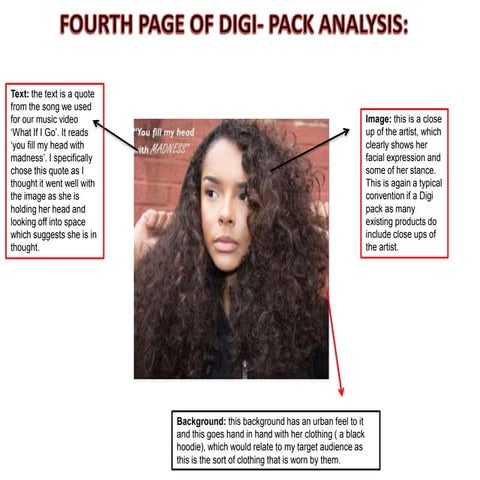 Fourth page of digi pack analysis