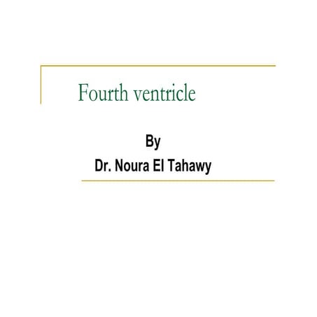 Fourth ventricle