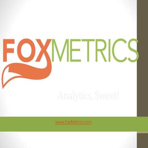 FoxMetrics Web Analytics Platform 