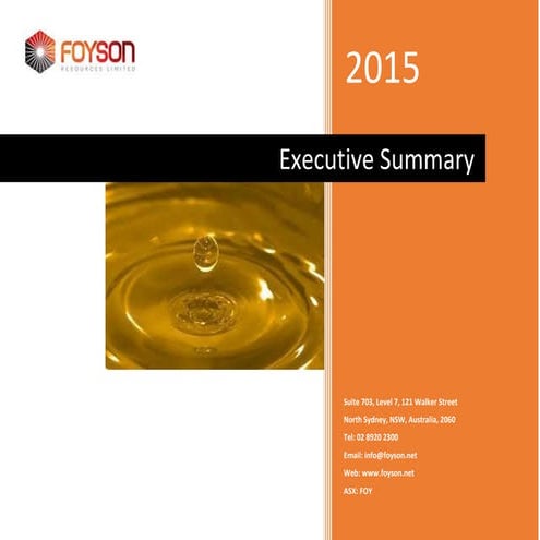 Foyson Investors Executive Summary