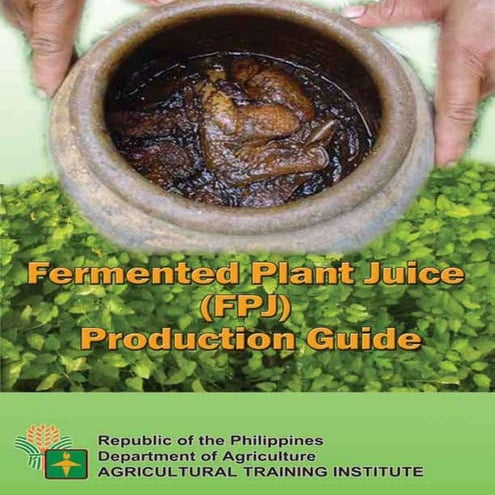 Organic Fertilizer 3 | Fermented Plant Juice (FPJ)