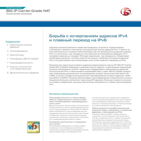 F5 Carrier-Grade NAT (CGNAT): техническое описание