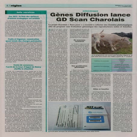 Gdscan | PDF