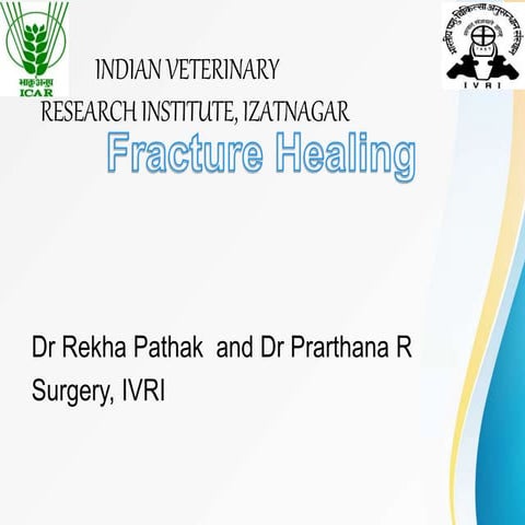 Fracture Healing.pptx