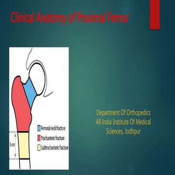 Femur (Gross Anatomy) | PPTX