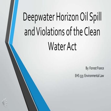 France   bp oilspill final