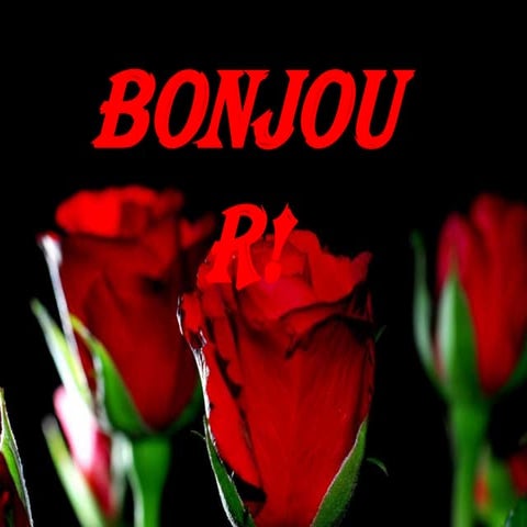 France -  presentation