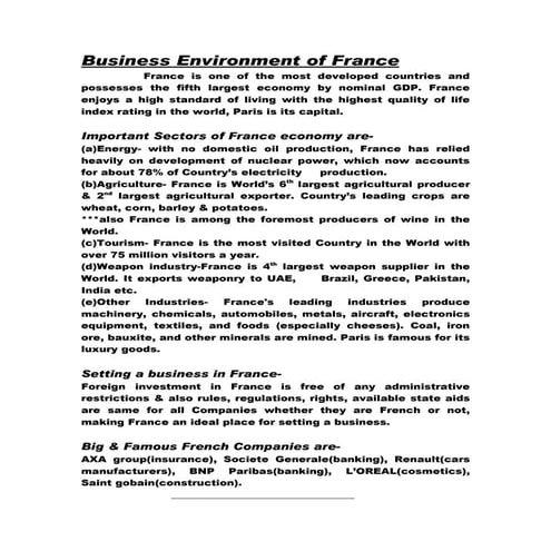 France business environment - jay 