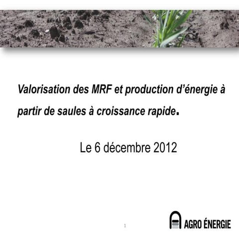 Valorisation des MRF et production d’énergie à partir de saules à croissance ...