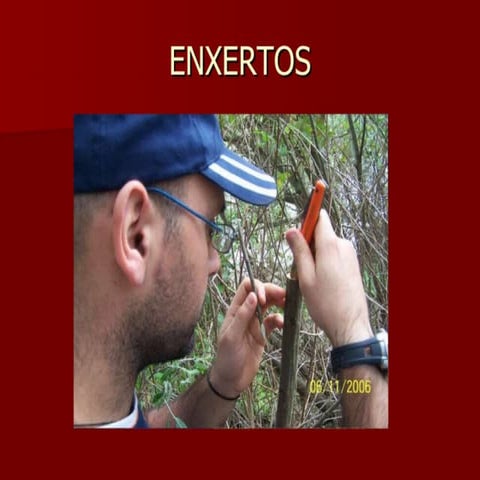 Habilidades Sociales2