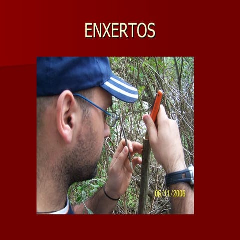 Francisco Castro Cabaleiro 1