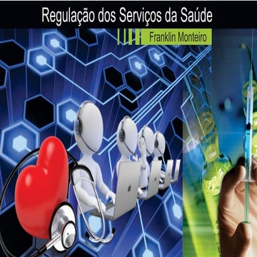 Rio Info 2015 - Palestra O papel da TI na regulação de Serviços em Saúde - Fr...