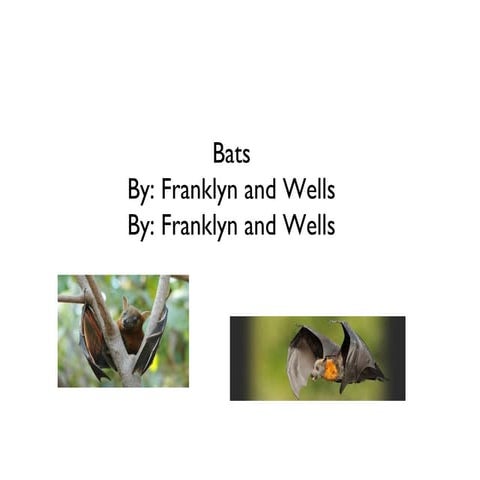 Franklyn wells power point