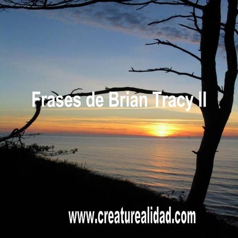 Frases De Brian Tracy Ii 2 1