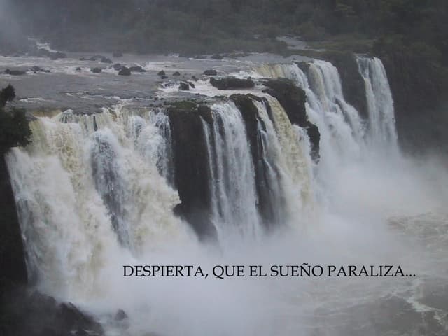 Frases Sobre La Vida