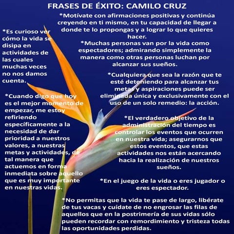 FRASES DE EXITO POR  CAMILO CRUZ
