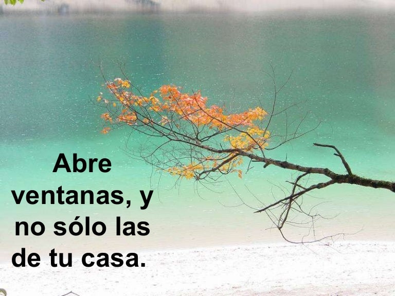 Resultado de imagen para frases y pensamientos