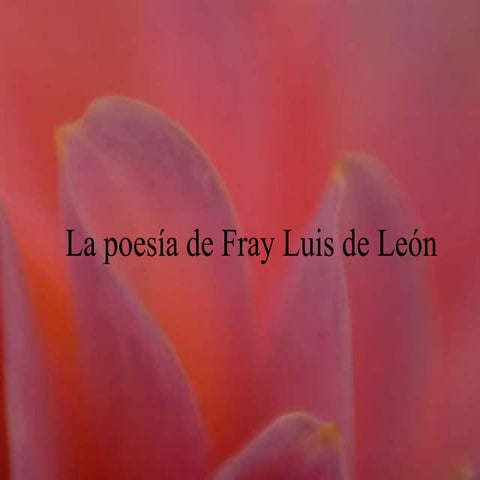 Fray Luis