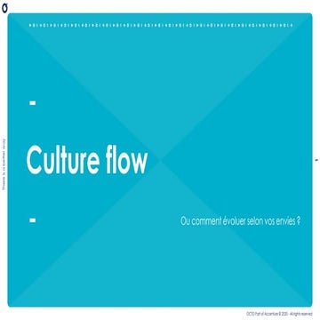 Culture flow pour l'IT | PDF