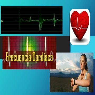 Frecuencia Cardiaca - Pulso