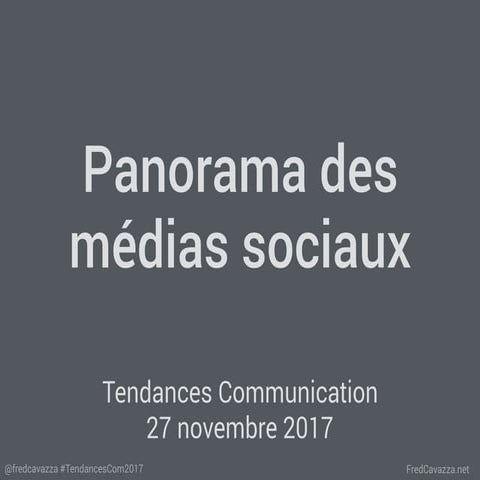 Panorama des médias sociaux 2017