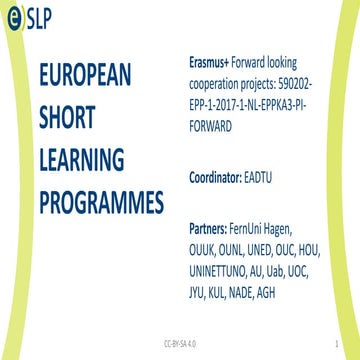 International partnerships in global higher education | PDF
