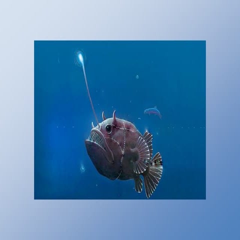 SuperSelective Primers for Multiplex Real-time PCR Assays that Assess the Abu...