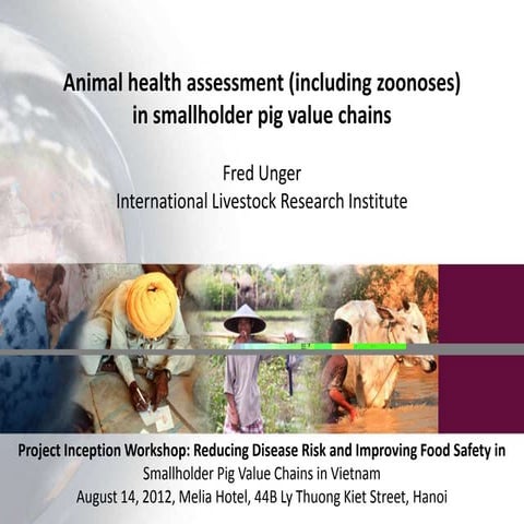 Animal health assessment (including zoonoses) in smallholder pig value chains 