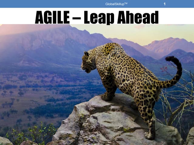 Free Online Agile & SCRUM Study Training Material for PMI ACP Certification P...