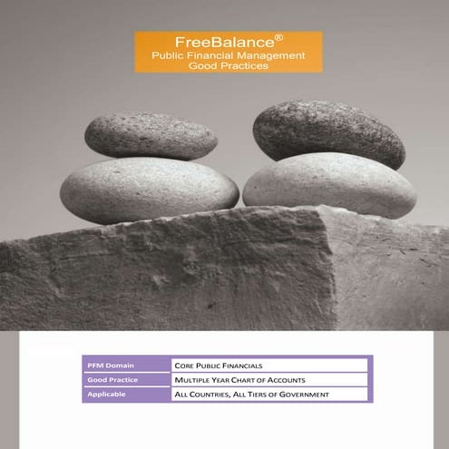 Public Financial Management Good Practice Multiple Year Chart of Accounts