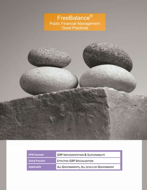 Good Practices in Government Resource Planning Vendor Specialization