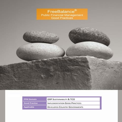 Public Financial Management Good Practice Government Resource Planning Total Cost of Ownership