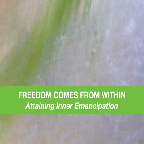 Freedom Comes from Within